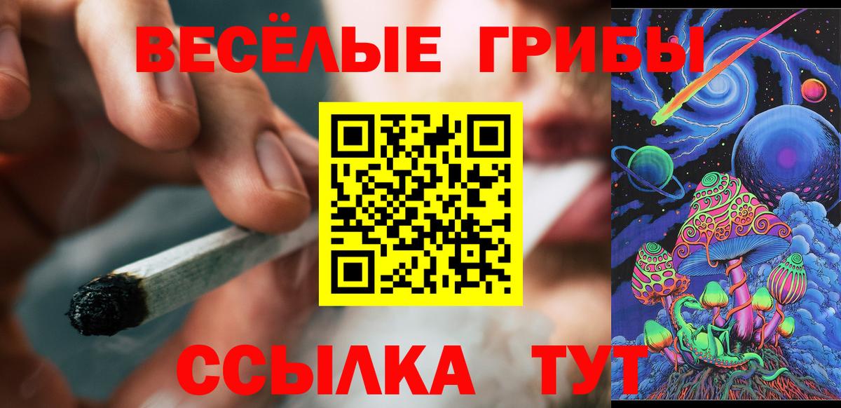 Галлюциногенные грибы Psilocybe Истра