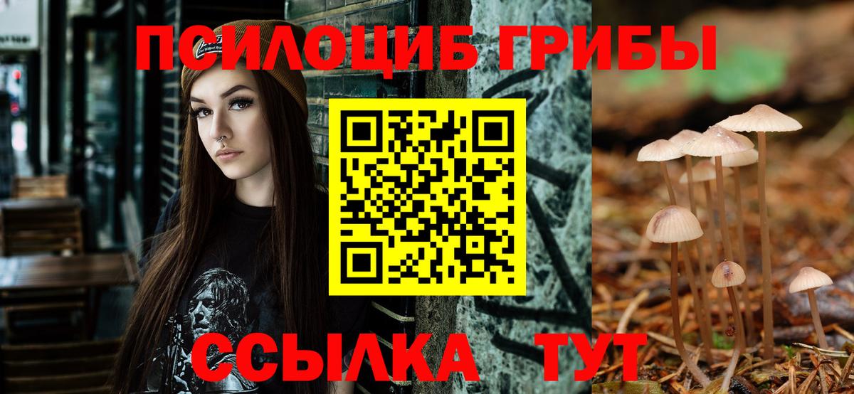 Галлюциногенные грибы прущие грибы  Вход с VPN  Истра 